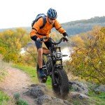 20" Electric Bike 750W 48V 14Ah Motor Cycle Dual Suspension Fat Tire Adult Ebike