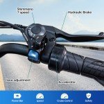 Zoonlai Electric Bike for Adults 1000W 20 inch Fat Tire 48V 15AH 7 Speed Ebike
