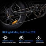 Zoonlai Electric Bike for Adults 1000W 20 inch Fat Tire 48V 15AH 7 Speed Ebike