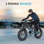 HiKeep Electric Bike for Adults, 20 inch Fat Tire Ebike with 1000W Motor 48V13Ah Battery Up to 32MPH / 60Miles, 7 Speed Dirt Electric Motorcycle Bicycle