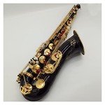 Saxophone Set Tenor Saxophone Black Lacquer with Case Sax Tenor Mouthpiece Ligature Reeds Neck Musical Instrument Accessories Student Saxophone (Color : Black)