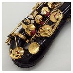 Saxophone Set Tenor Saxophone Black Lacquer with Case Sax Tenor Mouthpiece Ligature Reeds Neck Musical Instrument Accessories Student Saxophone (Color : Black)