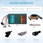 52V 20Ah ebike Battery Li-ion LG Cell 200W-2000W Electric Bicycles Motor 50A BMS