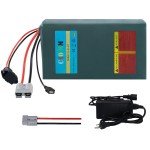 52V 20Ah ebike Battery Li-ion LG Cell 200W-2000W Electric Bicycles Motor 50A BMS