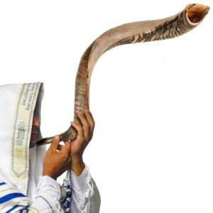 Kosher Jewish Kudu Blowing Horn Instrument Shofar from Israel - Kudu Shofar Angels Musical Instrument – Half Polished/Natural (Single, 50"-52" - UNIQUE)