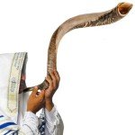 Kosher Jewish Kudu Blowing Horn Instrument Shofar from Israel - Kudu Shofar Angels Musical Instrument – Half Polished/Natural (Single, 50"-52" - UNIQUE)