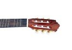 Special Quality Microtonal Classical Guitar String Musical Instrument KG-2