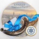 Kosher Jewish Kudu Blowing Horn Instrument Shofar from Israel - Kudu Shofar Angels Musical Instrument – Half Polished/Natural (Single, 50"-52" - UNIQUE)