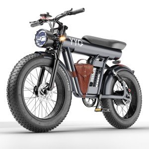 YYG Electric Bike 1200W 48V/20Ah Dual Suspension 4.0 Fat Tire  32MPH Adult Ebike