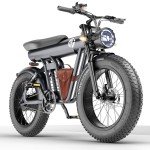 YYG Electric Bike 1200W 48V/20Ah Dual Suspension 4.0 Fat Tire  32MPH Adult Ebike