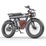 YYG Electric Bike 1200W 48V/20Ah Dual Suspension 4.0 Fat Tire  32MPH Adult Ebike