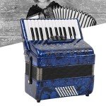 Focket Accordion, 26 Key 48 Bass Celluloid Piano Accordion with Straps, Professional International Standard ABS Piano Keyboard Musical Instrument for Stage Performance