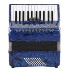 Focket Accordion, 26 Key 48 Bass Celluloid Piano Accordion with Straps, Professional International Standard ABS Piano Keyboard Musical Instrument for Stage Performance