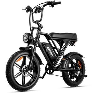 AMYET G60 1500W 48V/20AH Electric Bike 20" Fat Tire Ebike E-Bicycle Disc Brake