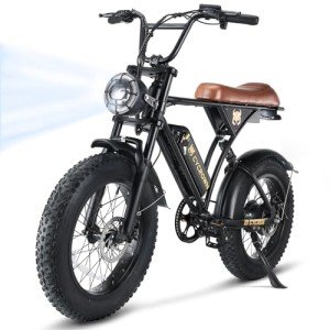 CYCROWN CycRun Electric Bike for Adults 750W Motor with 374.4WH Battery, 20MPH 55Miles Moped Style Ebike for Adults, 20" Fat Tire Commuting Off Road Mountain Ebike with Hydraulic Suspension, UL2849
