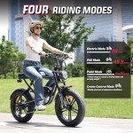 Windone K2 Electric Bike,Ebike for Adults with 750W Power Motor,48V13Ah UL Certified Battery,All Terrain 20" Fat Tire Electric Bike Up to 28MPH & 46.6Miles Range with Double Seat,Urban E-Bike
