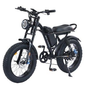 DRIFT.SLIDE 1500W Peak Power Electric Bike for Adults, 28 MPH 60 Miles Electric Moped Style Bike, 48V 20.8 Ah UL 2849 Removable Battery, 7 Speed 20" All Terrain Fat Tire Ebike (J1)