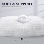 COZSINOOR Hotel-Quality Cooling Pillows: Queen Size, Set of 2