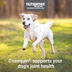 Nutramax Cosequin Joint Health Supplement - 250 Chewable Tablets
