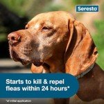 Seresto Large Dog Flea & Tick Collar | 8 MonthsVIP Smart Shopper