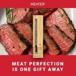 Wireless Smart Meat Thermometer with Bluetooth: MEATER Plus