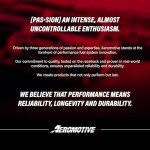 Aeromotive 12604 100-Micron Stainless Mesh Filter Element