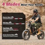 WINDONE E2 Electric Bike for Adults,750W Ebike with 48V13Ah Removable Battery,All-Terrain 20" Fat Tire Electric Bikes Up to 28MPH & 46.6Miles,Full Suspension,Cruise Control,UL Certified,Moped E-Bike