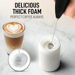 Zulay Double Whisk Handheld Milk Frother - Black