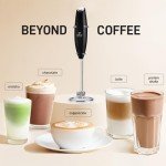 Zulay Double Whisk Handheld Milk Frother - Black