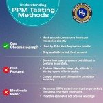 Echo Go+ Hydrogen Water Bottle - Gary Brecka Recommended