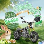 eAhora 4000W M8S Electric Motorcycle for Adults