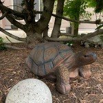 Sunnydaze Tanya Tortoise Poly-Concrete Garden Statue