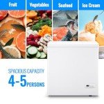 DEMUlLER 5.0 CU.FT Ultra-low Temp Chest Freezer