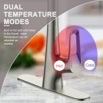 RUVIDA Pull Down Kitchen Faucet with Faucet Plate