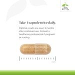 Terry Naturally Blood Pressure Health - 60 Capsules, Pack of 2 - Promotes Healthy Circulation & Blood Pressure Levels - Non-GMO, Vegan, Gluten Free - 120 Total Servings