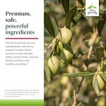 Terry Naturally Blood Pressure Health - 60 Capsules, Pack of 2 - Promotes Healthy Circulation & Blood Pressure Levels - Non-GMO, Vegan, Gluten Free - 120 Total Servings