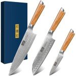 Professional Damascus Chef Knife Set with Ergonomic Handle