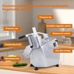 Multifunctional Electric Vegetable Cutter & Food Processor - 550W