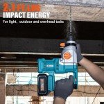 Berserker 20V Cordless Rotary Hammer Drill SDS-Plus