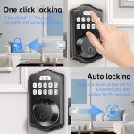 Front Smart Door Lock Set with 2 Handles