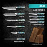 11-Piece Damascus Knife Set - Japanese Chef Collection