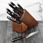 Enso SG2 18 Piece Knife Set - Japanese Craftsmanship