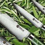 HexClad 6-Piece Knife Set with Japanese Damascus Steel