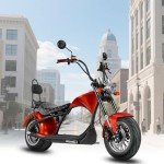 eAhora M1 2 Seater 37MPH Electric Bike for Adults