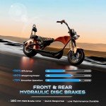 eAhora M1 2 Seater 37MPH Electric Bike for Adults