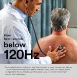 3M Littmann Cardiology IV Diagnostic Stethoscope - Rainbow