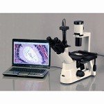 AmScope IN300TB Trinocular Microscope, 40x-800x, Phase-Contrast, 30W Illumination