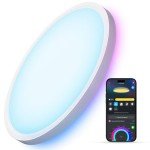Govee Smart RGBIC LED Ceiling Light Fixture 12