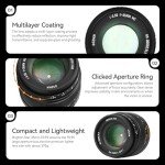 35mm F0.95 Prime Lens for Panasonic LUMIX/Olympus Cameras