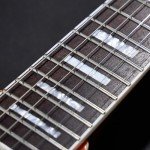 VIP Firefly FFLX Electric Guitar in Honey Burst